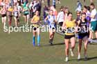 Womens under-17s 2025 UK CAU Inter Counties Cross Country Champs., Wollaton Park, Nottingham. Photo: David T. Hewitson/Sports for All Pics